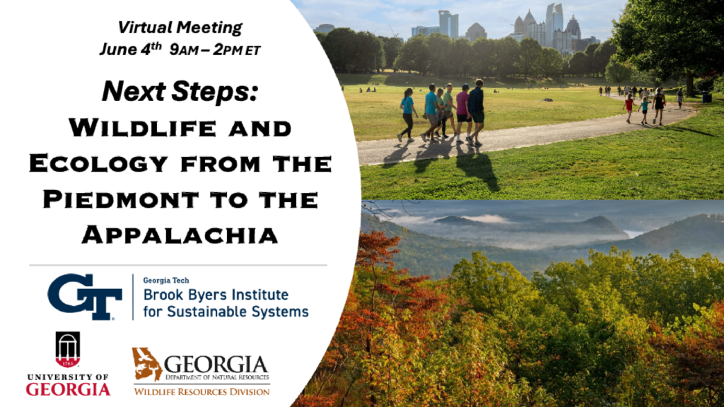Virtual Meeting June 4th 9am-2pm ET