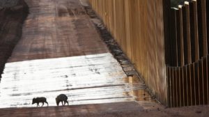 KRISTA SCHLYER/NATURE PICTURE LIBRARY/GETTY IMAGES